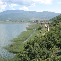 DSC08803.jpg