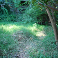 DSC_0103.jpg