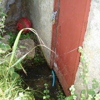 DSC08832.jpg