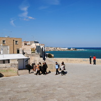 DSC_0497.jpg