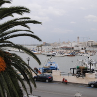 DSC_0241.jpg