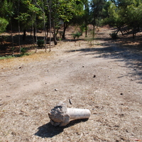 DSC_0195.jpg