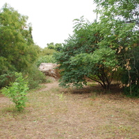 DSC_0307.jpg