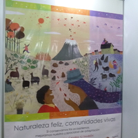 P1000627.jpg