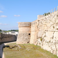 DSC_0490.jpg