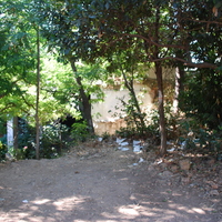 DSC_0141.jpg