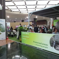 P1000642.jpg
