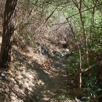 DSC_0093.jpg