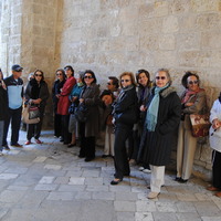 DSC_0461.jpg