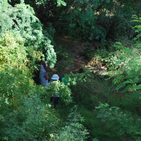 DSC_0261.jpg
