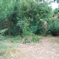 DSC_0306.jpg